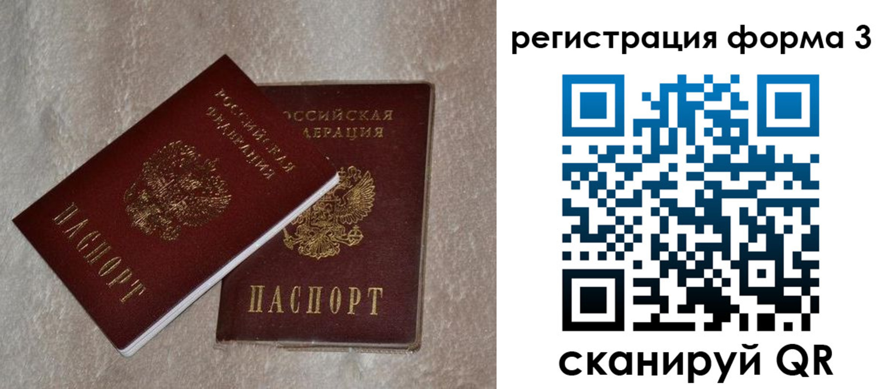 где прописаться в Коврове